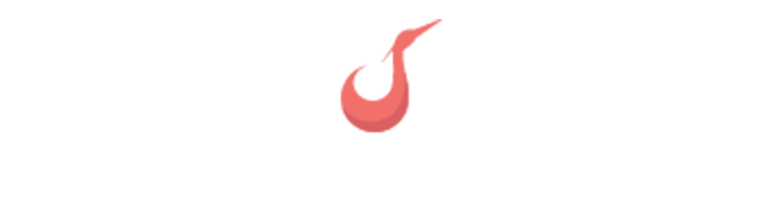Logo-raimy