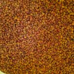 PEPINS2025-11-05 at 12.25.52